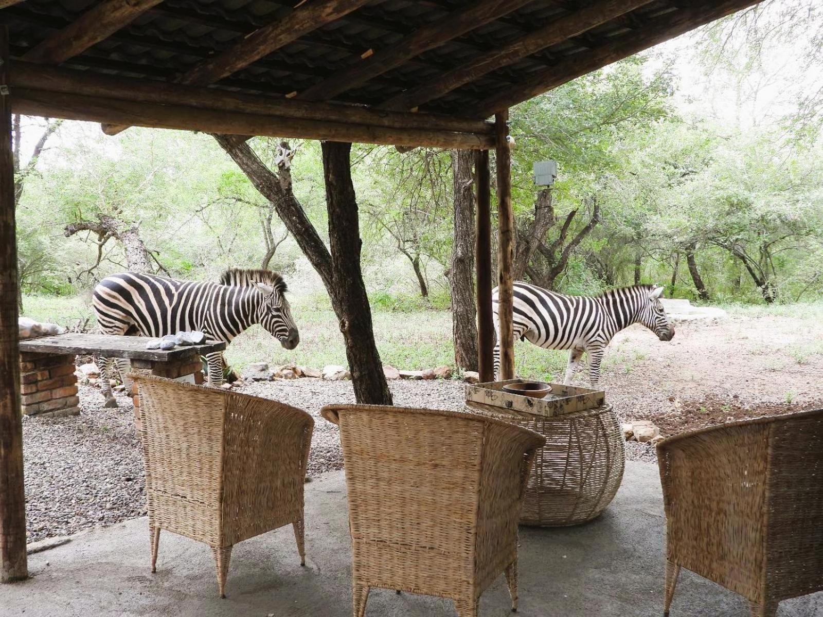Elephant Memories Lodge *